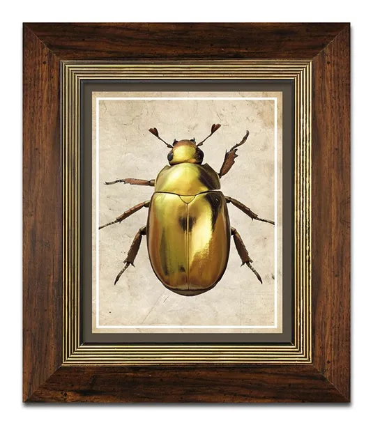 obraz-na-plotnie-zuk-31x36cm