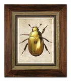 obraz-na-plotnie-zuk-31x36cm