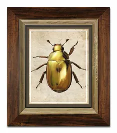 obraz-na-plotnie-zuk-31x36cm
