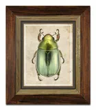 obraz-na-plotnie-zuk-31x36cm
