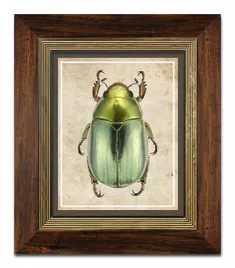 obraz-na-plotnie-zuk-31x36cm