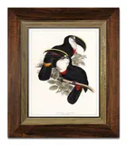 obraz-na-plotnie-papugi-31x36cm