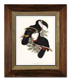 obraz-na-plotnie-papugi-31x36cm