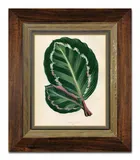 obraz-na-plotnie-rosliny-liscie-31x36cm