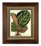 obraz-na-plotnie-rosliny-liscie-31x36cm