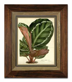 obraz-na-plotnie-rosliny-liscie-31x36cm