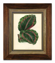 obraz-na-plotnie-rosliny-liscie-31x36cm