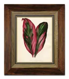 obraz-na-plotnie-rosliny-liscie-31x36cm
