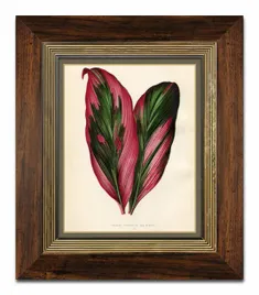 obraz-na-plotnie-rosliny-liscie-31x36cm