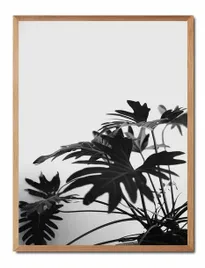 obraz-na-plotnie-boho-33x43cm
