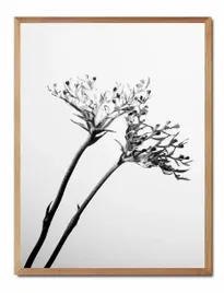 obraz-na-plotnie-boho-33x43cm