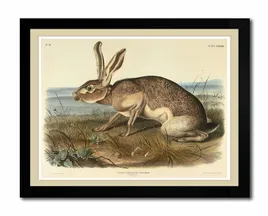 obraz-na-plotnie-krolik-33x43cm