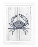 obraz-na-plotnie-krab-33x43cm