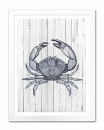 obraz-na-plotnie-krab-33x43cm
