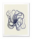 obraz-na-plotnie-kalamarnica-33x43cm