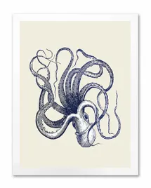 obraz-na-plotnie-kalamarnica-33x43cm