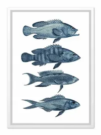 obraz-na-plotnie-ryby-33x43cm