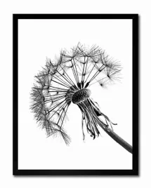 obraz-na-plotnie-dmuchawiec-33x43cm