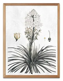 obraz-na-plotnie-kwitnaca-roslina-33x43cm