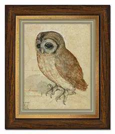 obraz-na-plotnie-sowa-28x33cm
