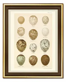 obraz-na-plotnie-jajka-28x33cm