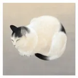 obraz-na-plotnie-bialy-kot-40x40cm