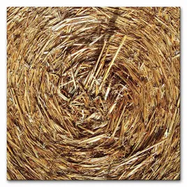 obraz-na-plotnie-boho-30x30cm