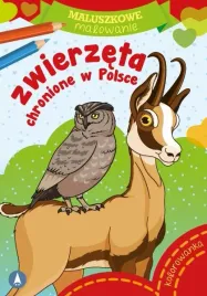 maluszkowe-malowanie-zwierzeta-chronione-w-polsce