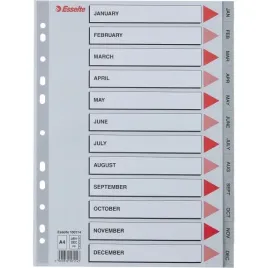 przekladki-plastikowe-do-segregatora-12-miesiacy-szare-pp-a4-esselte