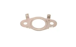 uszczelka-przewodu-zaworu-egr-aju01547500
