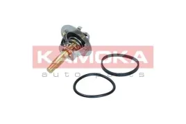 termostat-kpl-z-obudowa-7710175-kao