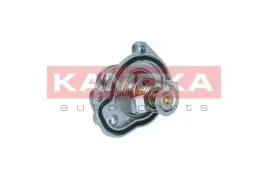 termostat-kpl-z-obudowa-7710174-kao