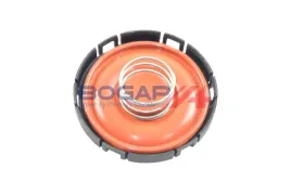 odma-b1116108-bgp-bogap