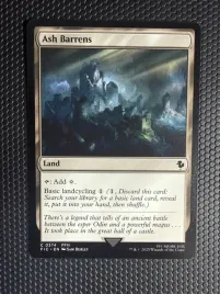 karta-magic-the-gathering-ash-barrens-fic-374