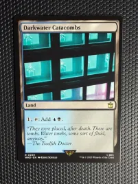 karta-magic-the-gathering-darkwater-catacombs-who-269