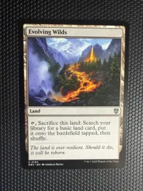 karta-magic-the-gathering-evolving-wilds-drc-154