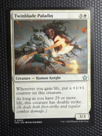 karta-magic-the-gathering-twinblade-paladin-fdn-503