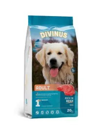 divinus-adult-dla-psow-doroslych-20kg