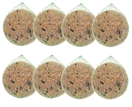 kula-pyza-bila-tluszczowa-karma-dla-ptakow-8x-500g