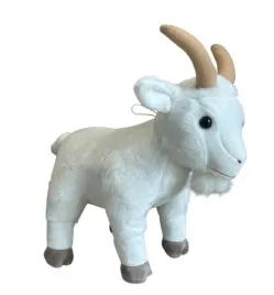 dubi-koziol-24-cm