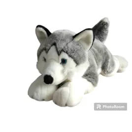 dubi-pies-husky-62-cm