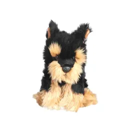 dubi-pies-morkie-30-cm