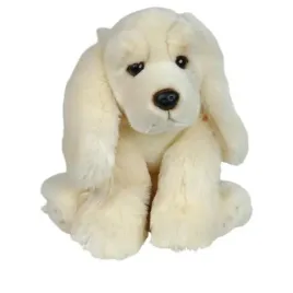 dubi-pies-spaniel-jasny