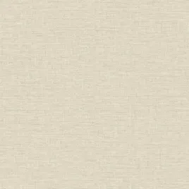tapeta-premium-grandeco-co1003-jasny-bez-struktura-plotna-106-cm