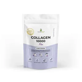 kolagen-rybi-flex-500g-doypack-witamina-c-chondroityna-kwas