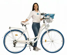 rower-damski-miejski-dallas-26-28-biegi-damka