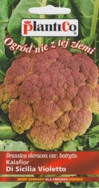 kalafior-di-sicilia-violetto-bordowy-nasiona-plantico-02g