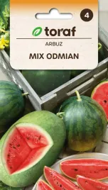 arbuz-mix-odmian-nasiona-arbuza-rozne-odmiany-toraf-1g