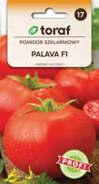 nasiona-pomidora-szklarniowego-palava-f1-srednio-wczesny-toraf-01g