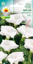 bielun-wspanialy-bialy-nasiona-bialych-kwiatow-bielunia-pachnace-toraf-0-3g